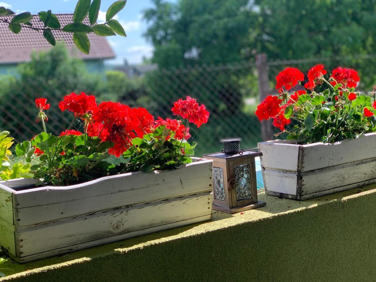 Apartmany Zeleny Dom Podhájska エクステリア 写真